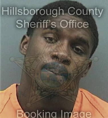 Michael Ford, - Hillsborough County, FL 