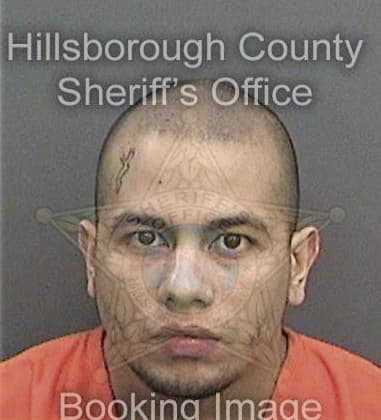 Hector Galarza, - Hillsborough County, FL 