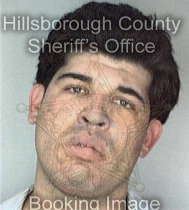 Javier Avalos, - Hillsborough County, FL 