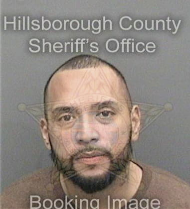 Dylan Bland - Hillsborough County, FL 