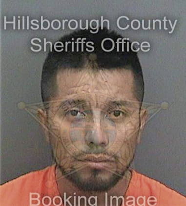 Carlos Flores-Morales, - Hillsborough County, FL 