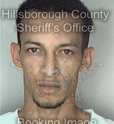 Roy Gonzalez - Hillsborough County, FL 