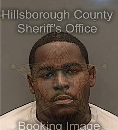 Jerry Irvin, - Hillsborough County, FL 