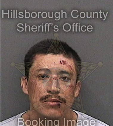 Jimmy Nguyen, - Hillsborough County, FL 