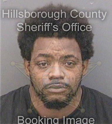 Michael Palmer, - Hillsborough County, FL 