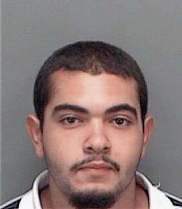 Juan Pinedatorres, - Pinellas County, FL 