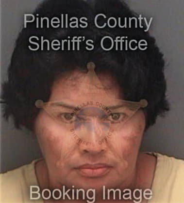 Yesica Santosruiz, - Pinellas County, FL 