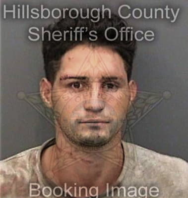 Rafael Alfaro, - Hillsborough County, FL 