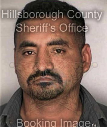 Steven Alvarez, - Hillsborough County, FL 