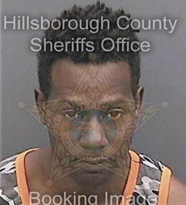 Tory Brinson - Hillsborough County, FL 