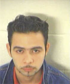 Adan Mejia-Guttierrez, - Fulton County, GA 