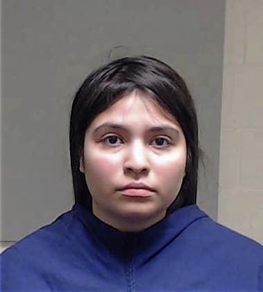 Allison Pierce - Collin County, TX 
