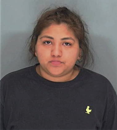 Sindy Romero, - Douglas County, GA 