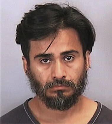 Pedro Ruiz-Aguayo, - Manatee County, FL 