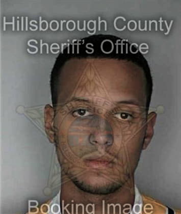 Henry Valcarcel, - Hillsborough County, FL 