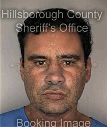 Luis Valdezgarcia, - Hillsborough County, FL 