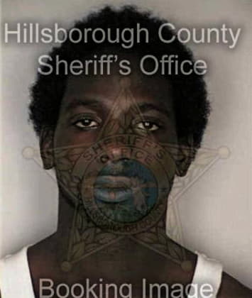 Reginald Anderson, - Hillsborough County, FL 