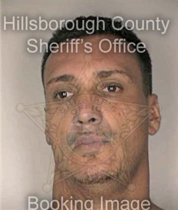 Dominic Biggers - Hillsborough County, FL 