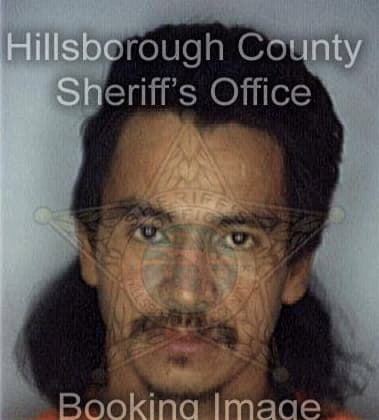 Rolando Capdevila, - Hillsborough County, FL 