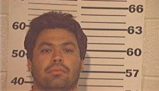 Roberto Llanos - Hidalgo County, TX 