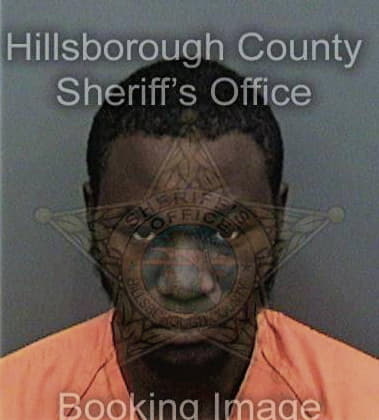 M McClendon - Hillsborough County, FL 