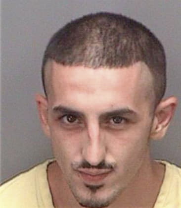 Timothy McMahon - Pinellas County, FL 