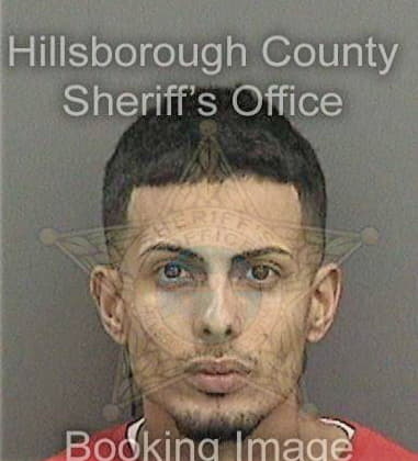 Michael Pratt, - Hillsborough County, FL 