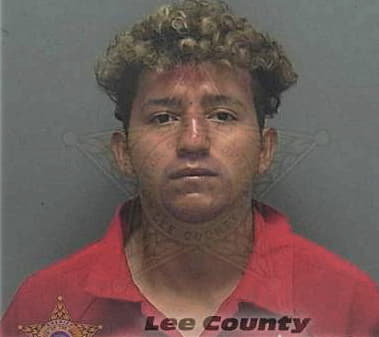 Timothy Zradicka, - Lee County, FL 