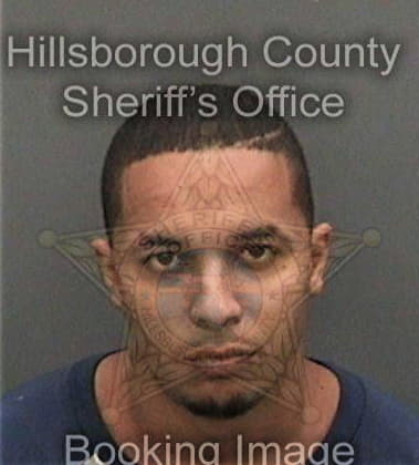 Elmis Zuniga, - Hillsborough County, FL 