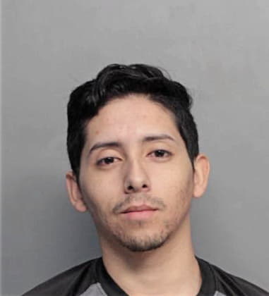 Ivan Alonsofonseca, - Dade County, FL 