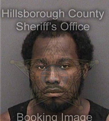 Louis Hudson, - Hillsborough County, FL 