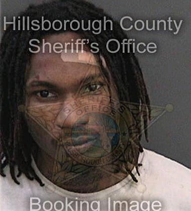 Mahlijah Johnson, - Hillsborough County, FL 