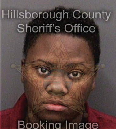 Kimberly McLeod - Hillsborough County, FL 