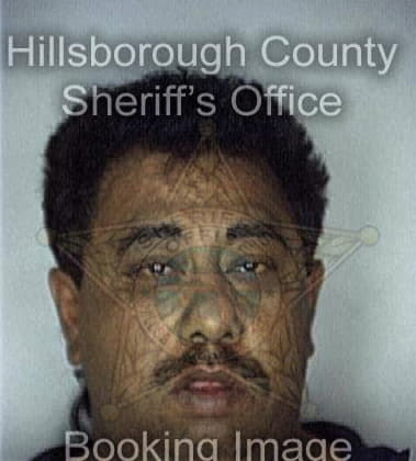 Lee Palacios, - Hillsborough County, FL 