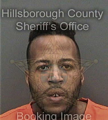 Gabriel Baezmaldonado, - Hillsborough County, FL 