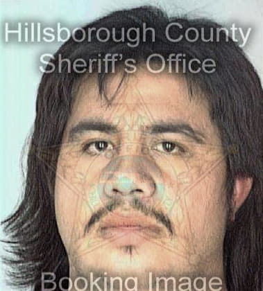 Emiliano Colon, - Hillsborough County, FL 