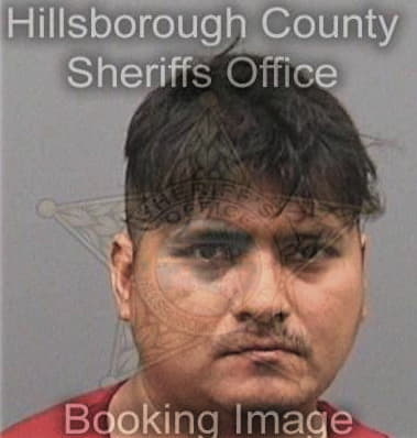 Santo Gonzalez - Hillsborough County, FL 
