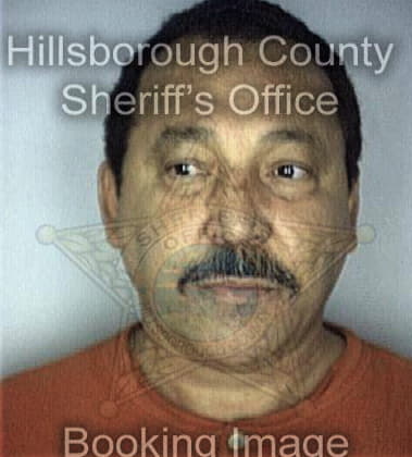 Michael Hobbs, - Hillsborough County, FL 