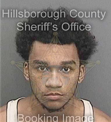 Alexander Hollinger, - Hillsborough County, FL 