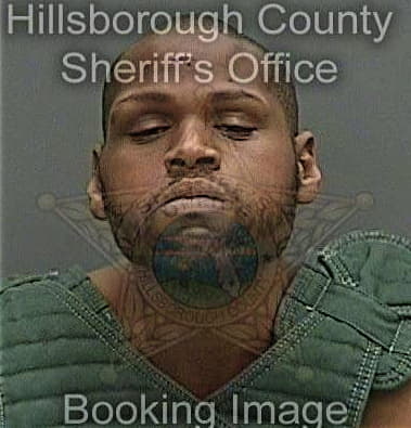 Ronald Millington - Hillsborough County, FL 