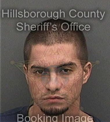 Travis Ross, - Hillsborough County, FL 