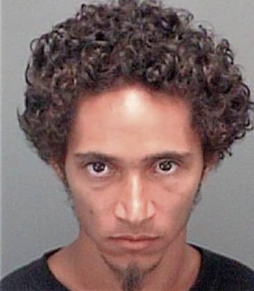 Jessie Snedeker - Pinellas County, FL 