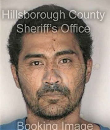 Rene Vazquezescobedo, - Hillsborough County, FL 