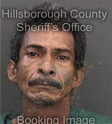 Zachary Welch, - Hillsborough County, FL 