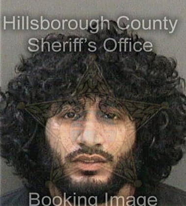 Robert Wieland - Hillsborough County, FL 