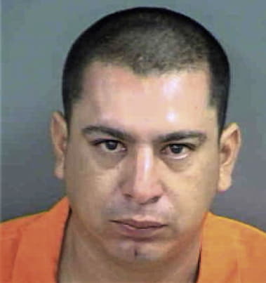 Roy Delgado, - Collier County, FL 