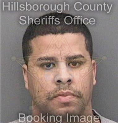 Robert Gavin, - Hillsborough County, FL 