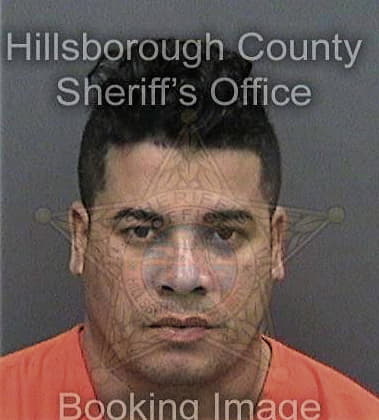 Victor Lopezramos, - Hillsborough County, FL 