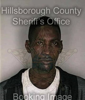 Julian Mitchell - Hillsborough County, FL 