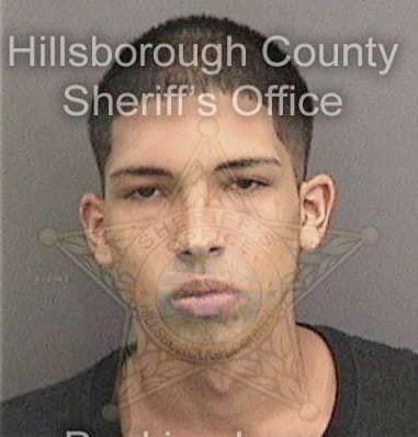 Steven Mitchell - Hillsborough County, FL 
